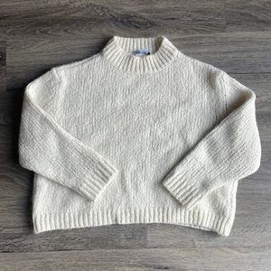 Zara Turtleneck Sweater